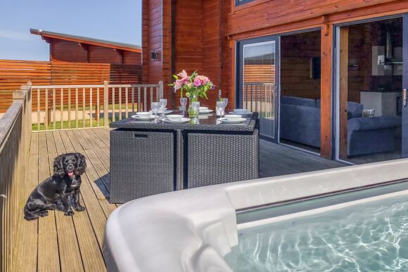 Saddleback (Pet) - Fairview Lodges, Withernsea