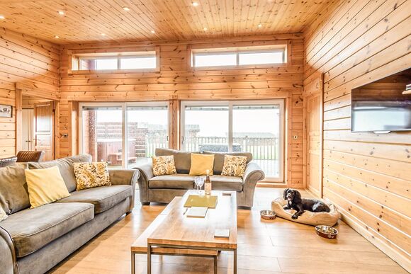 Saddleback (Pet) - Fairview Lodges, Withernsea