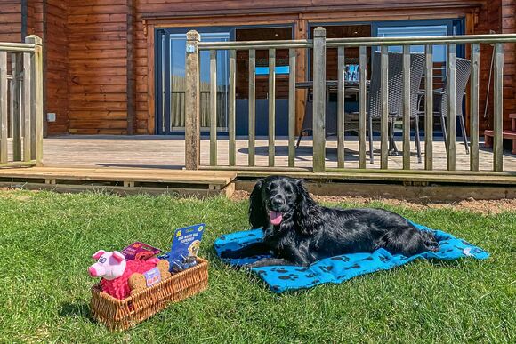 Tamworth (Pet) A - Fairview Lodges, Withernsea