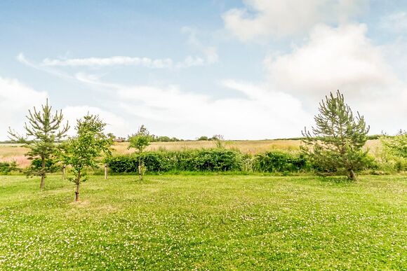 Pietrain Pet - Fairview Lodges, Withernsea