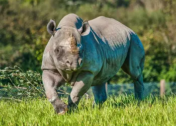 Folly Farm Holiday Park, Kilgetty