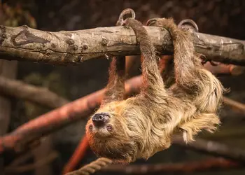 Folly Farm Holiday Park, Kilgetty