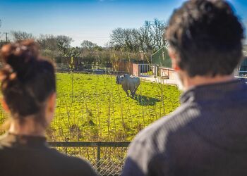Kifaru View Lodge - Folly Farm Holiday Park, Kilgetty