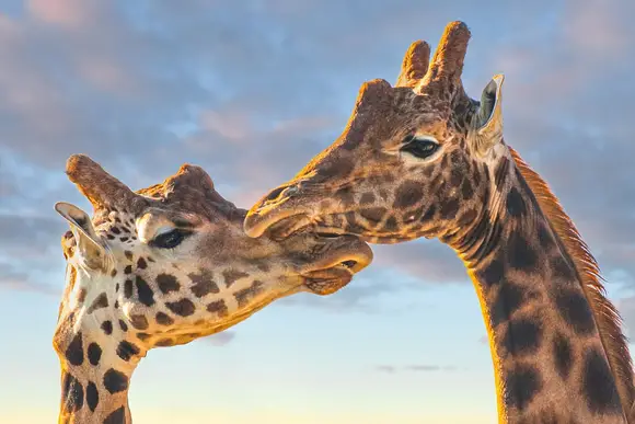 Folly Farm Holiday Park, Kilgetty