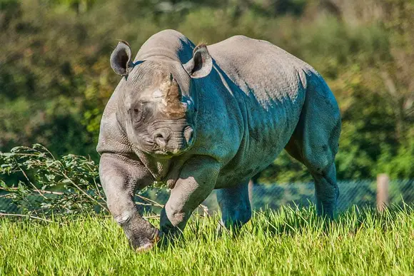 Folly Farm Holiday Park, Kilgetty