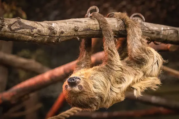 Folly Farm Holiday Park, Kilgetty