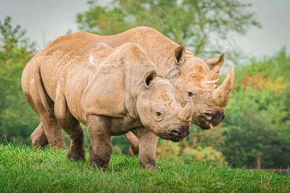 Folly Farm Holiday Park, Kilgetty