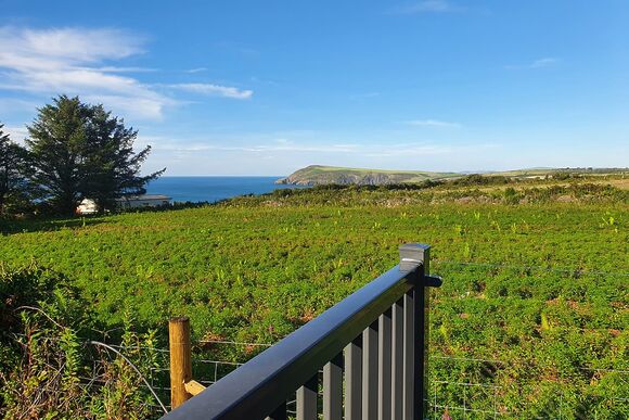 Premium Lodge 2 Pet - Fishguard Bay Resort, Fishguard,