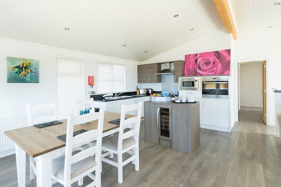 Premium Lodge 2 Pet - Fishguard Bay Resort, Fishguard,