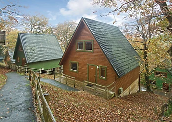 Typical Deluxe Woodland Lodge Four