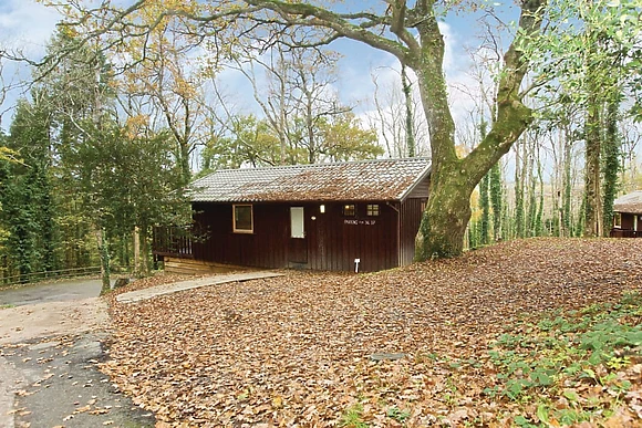 Typical Woodland Cabin Six 