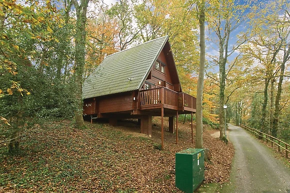 Typical Traditional Woodland Lodge Four 