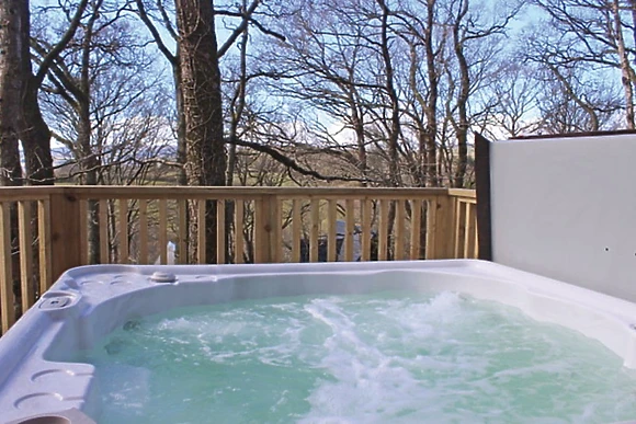 Luxury Woodland Lodge Hot Tub 4 
