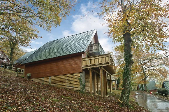 Typical Deluxe Woodland Lodge Four 