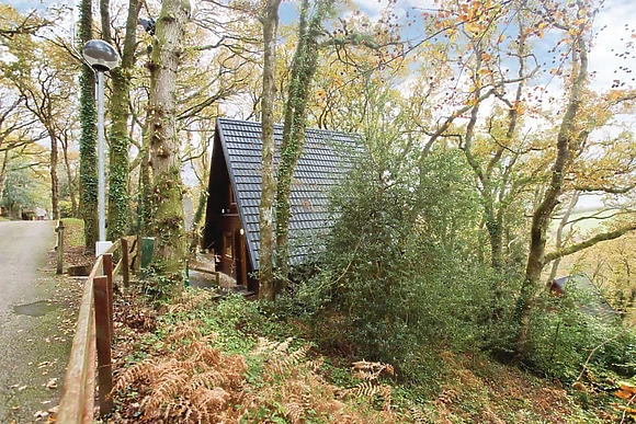 Typical Luxury Woodland Lodge Four 