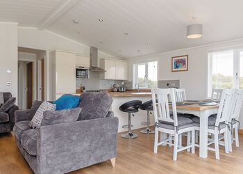 Willow Lodge - Florence Springs Lakeside Lodges, St Florence, Tenby
