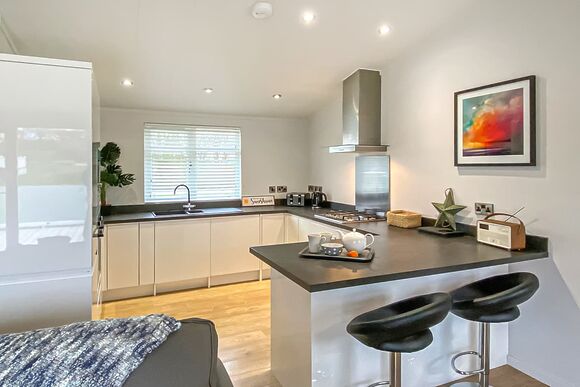 Beech Lodge - Florence Springs Lakeside Lodges, St Florence, Tenby