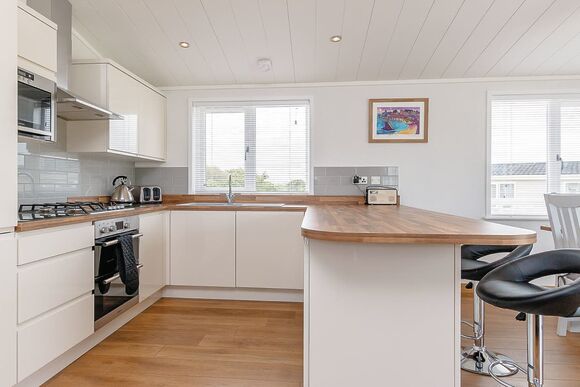 Willow Lodge - Florence Springs Lakeside Lodges, St Florence, Tenby