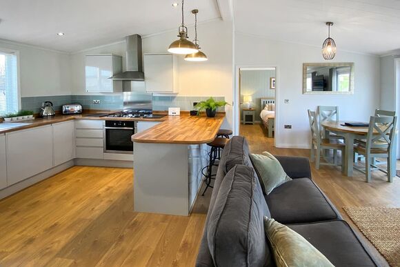Poplar Lodge WF - Florence Springs Lakeside Lodges, St Florence, Tenby