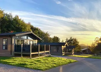 Flusco Wood, Dacre, Nr Ullswater