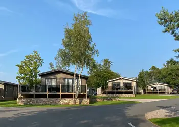 Flusco Wood, Dacre, Nr Ullswater