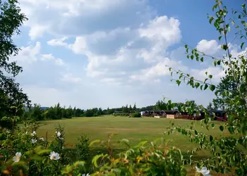 Flusco Wood, Dacre, Nr Ullswater