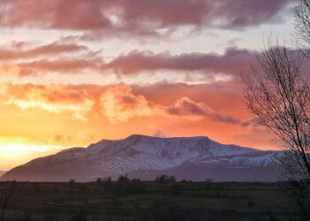 Flusco Wood, Dacre, Nr Ullswater