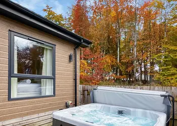 Flusco Wood, Dacre, Nr Ullswater