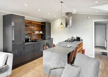 Savannah - Flusco Wood, Dacre, Nr Ullswater