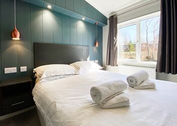 Savannah - Flusco Wood, Dacre, Nr Ullswater