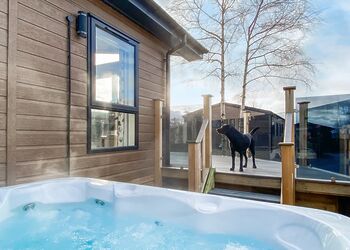 Askham Premier - Flusco Wood, Dacre, Nr Ullswater