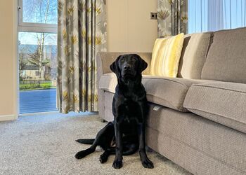 Askham Escape - Flusco Wood, Dacre, Nr Ullswater