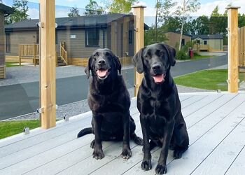 Askham Escape Blue - Flusco Wood, Dacre, Nr Ullswater