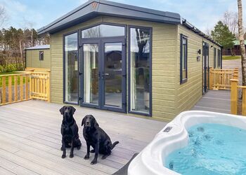 Riverwood - Flusco Wood, Dacre, Nr Ullswater