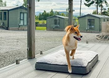 Riverwood - Flusco Wood, Dacre, Nr Ullswater