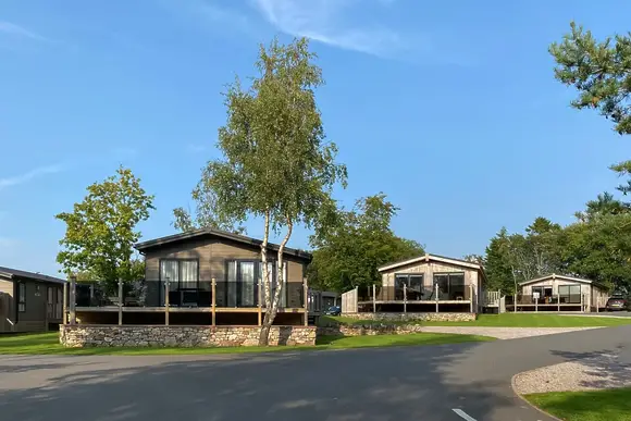 Flusco Wood, Dacre, Nr Ullswater