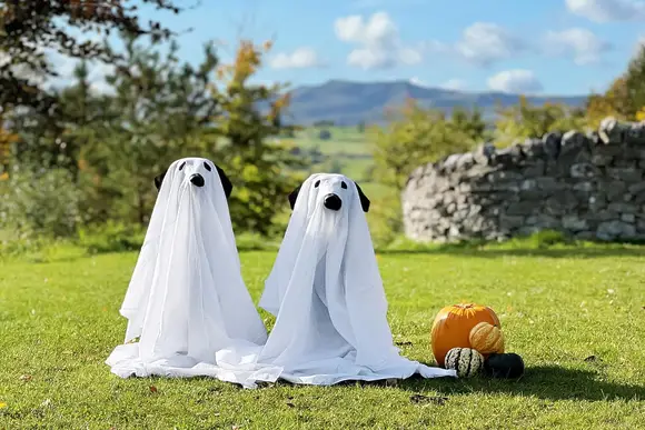 Flusco Wood, Dacre, Nr Ullswater