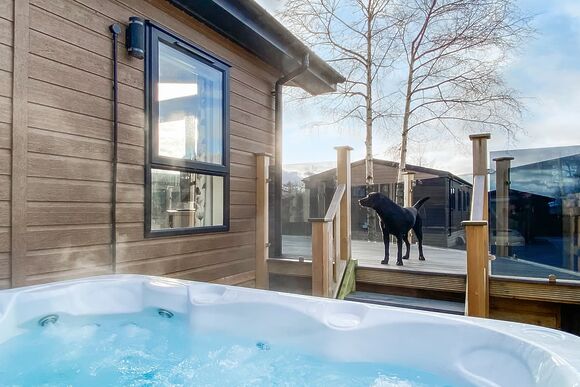 Askham Premier - Flusco Wood, Dacre, Nr Ullswater