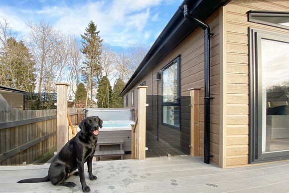 Askham Premier - Flusco Wood, Dacre, Nr Ullswater