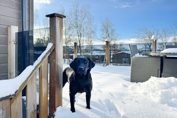 Carlton Signature - Flusco Wood, Dacre, Nr Ullswater