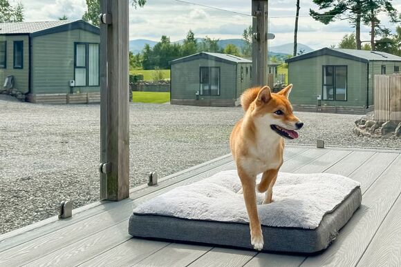 Riverwood - Flusco Wood, Dacre, Nr Ullswater