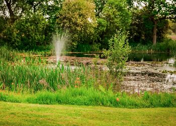 Kingfisher - Flaxton Meadows Luxury Lodges, Flaxton