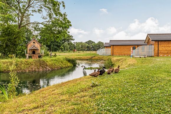 Flaxton Meadows Luxury Lodges