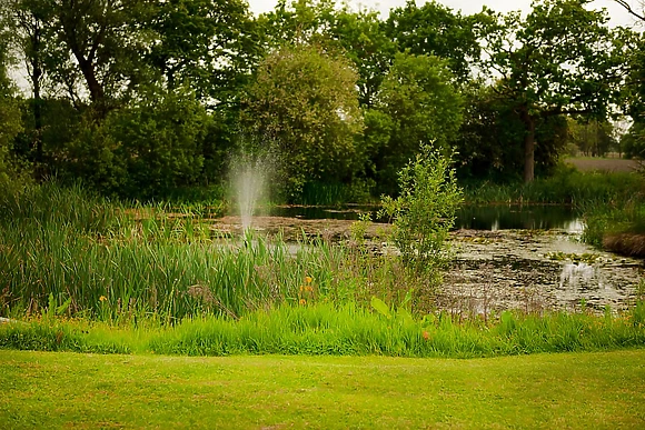 Minster - Flaxton Meadows Luxury Lodges, Flaxton