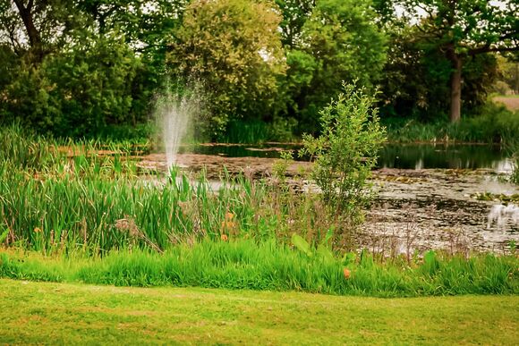 Kingfisher - Flaxton Meadows Luxury Lodges, Flaxton