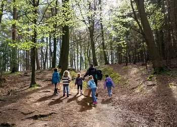 Forest of Dean Lodges, Coleford