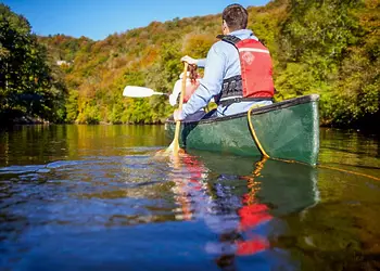 Forest of Dean Lodges, Coleford