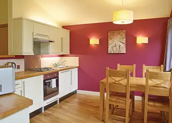 Typical Copper Beech 2 Meadow Cabin 