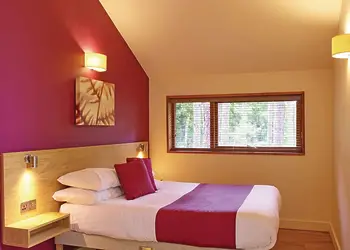 Typical Copper Beech 2 Meadow Cabin 