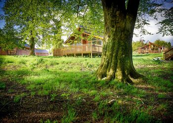 Golden Oak 2 Meadow Cabin - Forest of Dean Lodges, Coleford